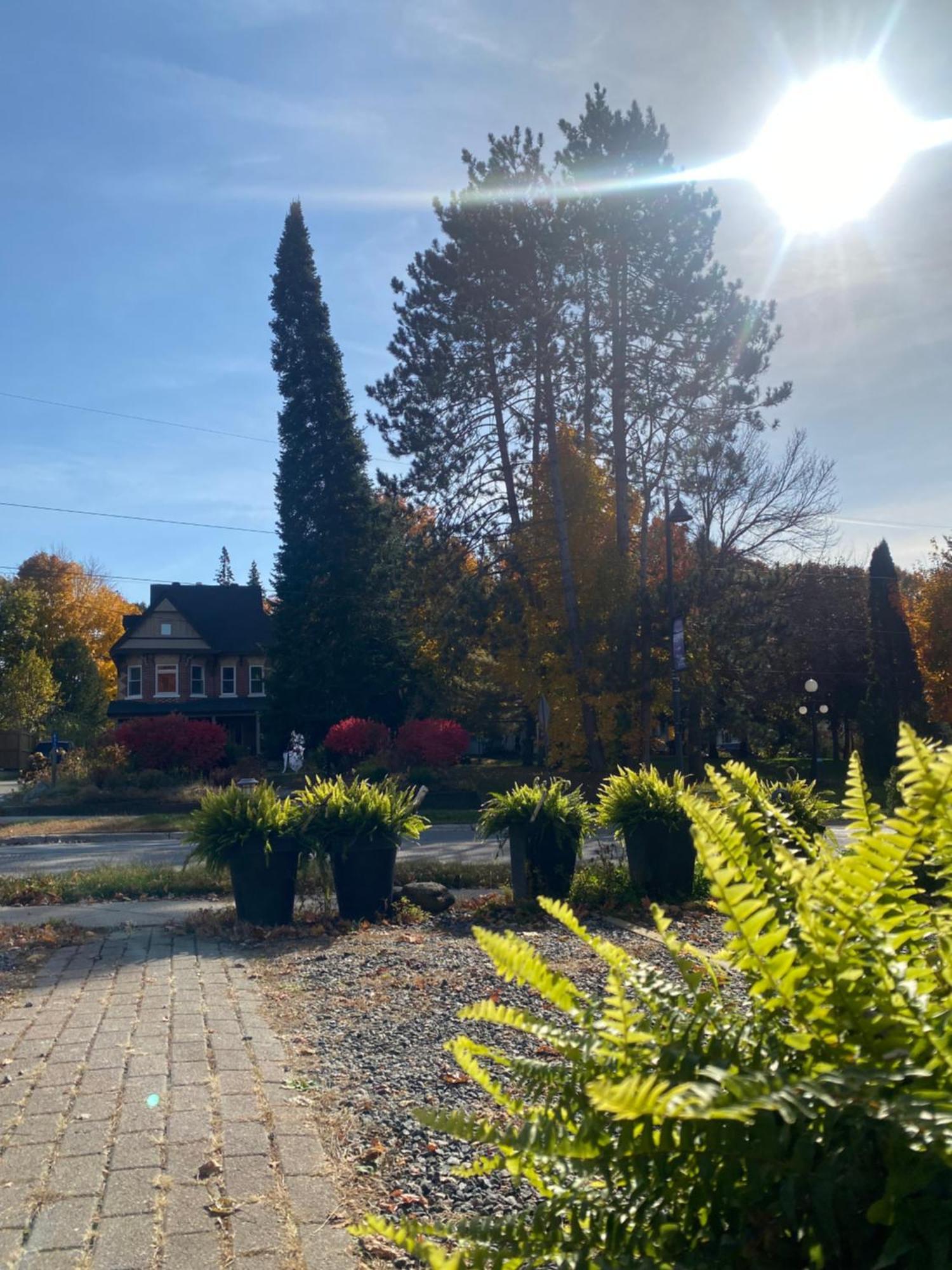 Blue Spruce Bed And Breakfast Muskoka Gravenhurst Exterior photo