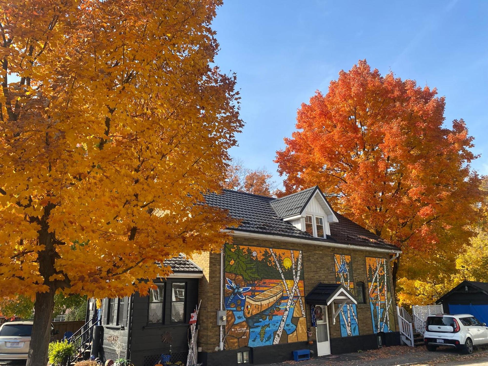 Blue Spruce Bed And Breakfast Muskoka Gravenhurst Exterior photo